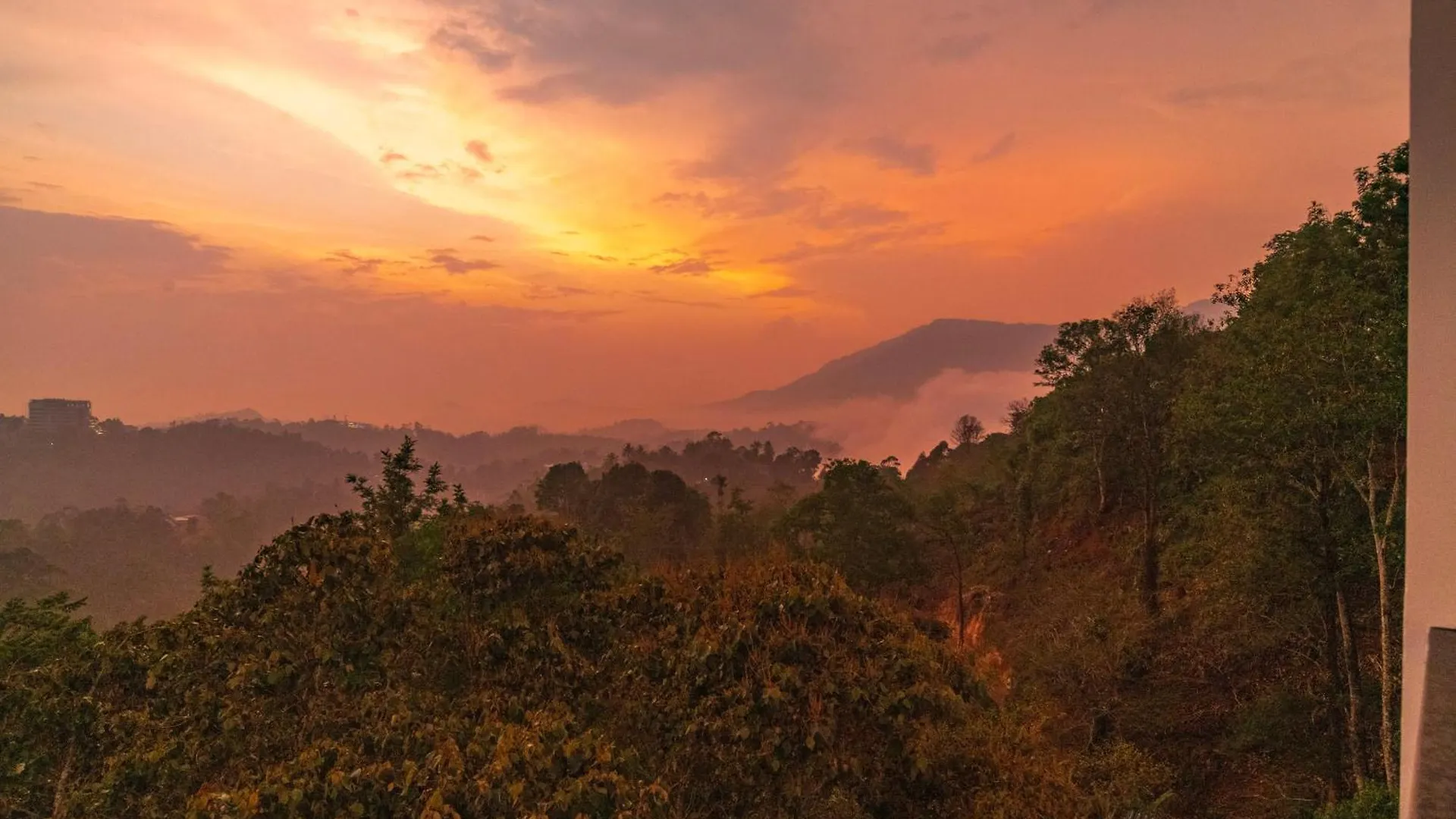 Velvet Clouds Munnar Hotel